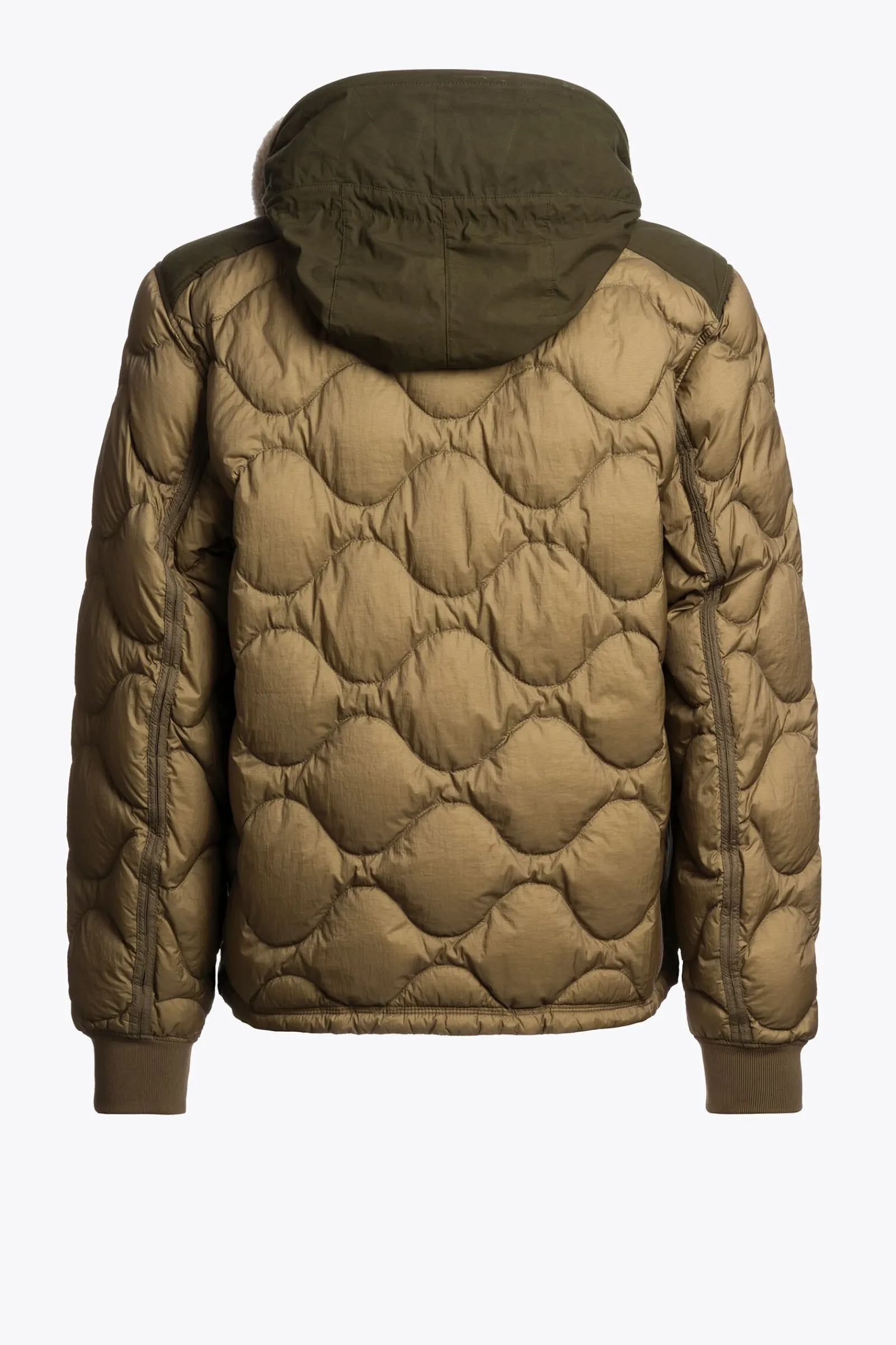Parajumpers Donsjassen-AKUTAN - DONSJACK MET CAPUCHON EARTH-DEEP MOSS