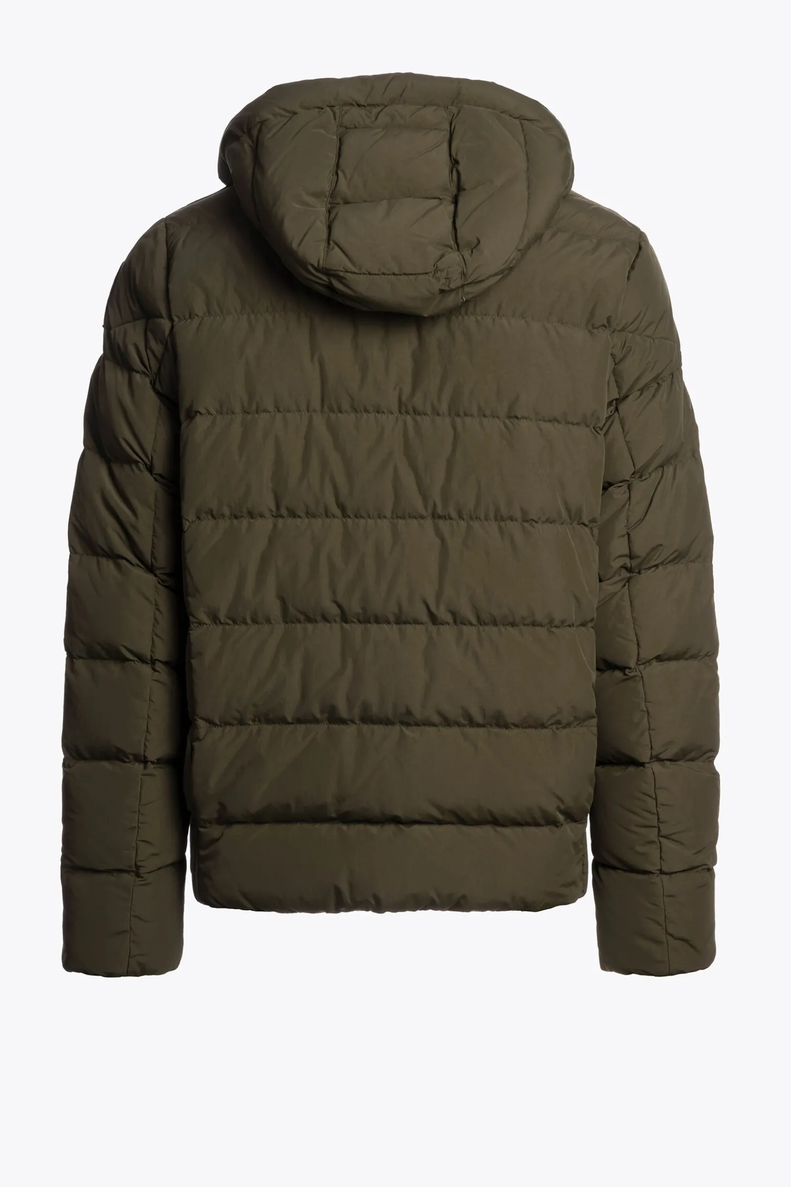 Parajumpers Donsjassen-CASSIAN - DONSJACK MET CAPUCHON DEEP MOSS