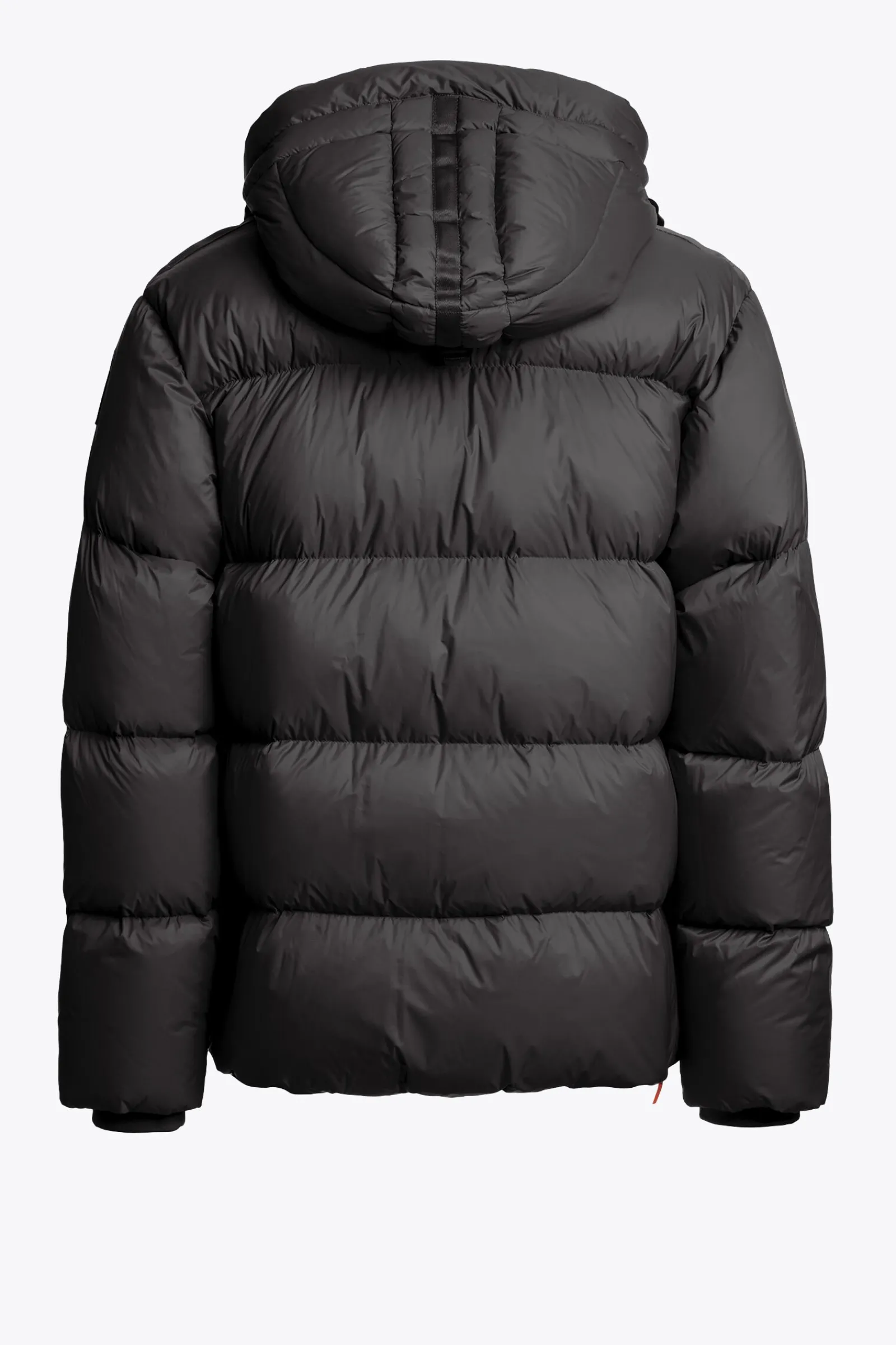 Parajumpers Donsjassen-CLOUD - DONSJACK MET CAPUCHON BLACK