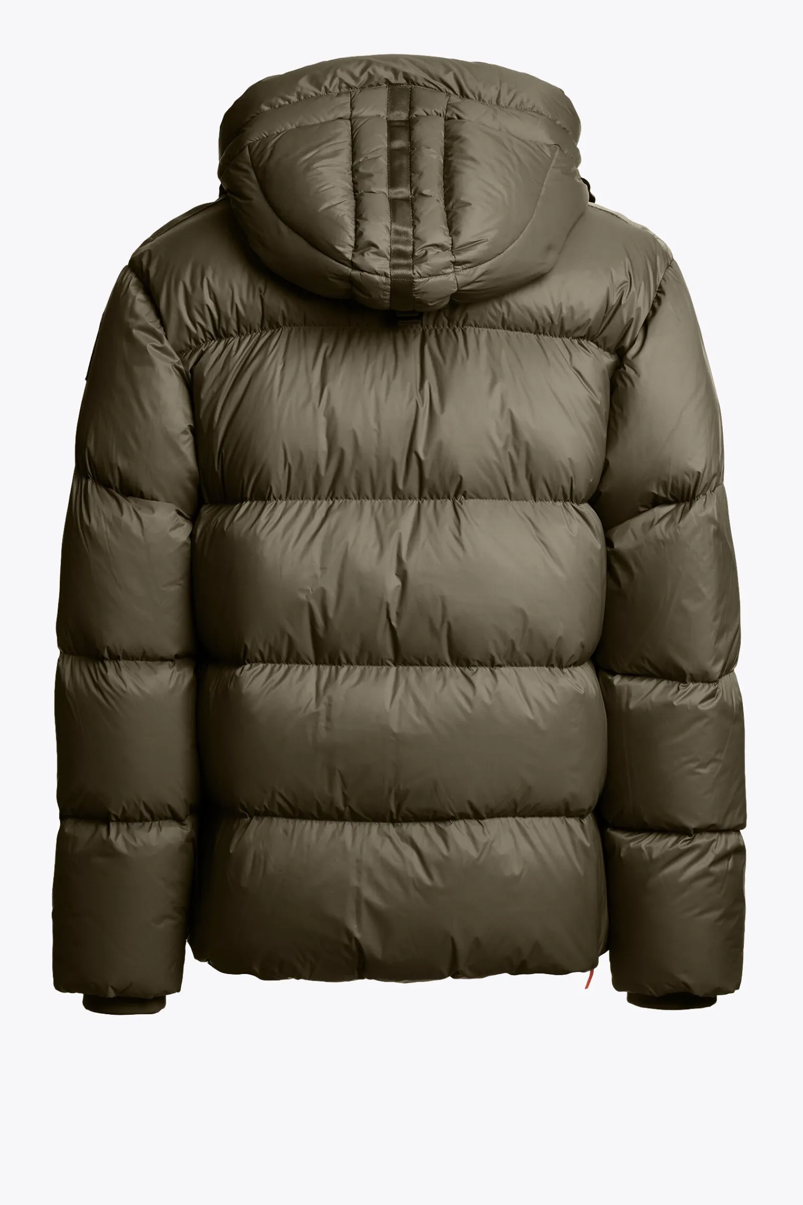 Parajumpers Donsjassen-CLOUD - DONSJACK MET CAPUCHON OLIVE GREY