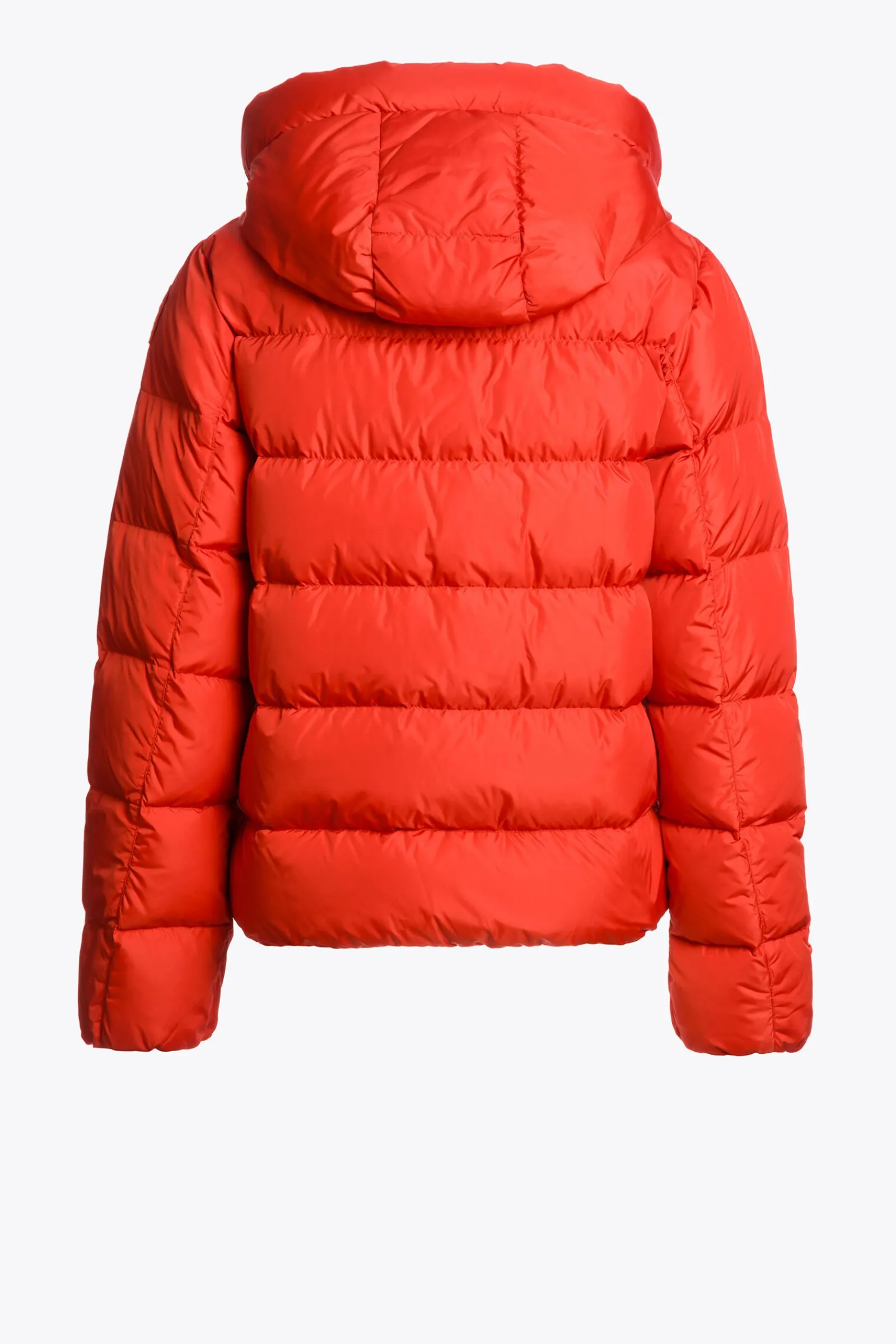 Parajumpers Donsjassen-JINNY - KORT DONSJACK GRENADINE