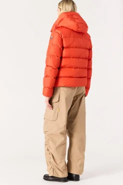 Parajumpers Donsjassen-JINNY - KORT DONSJACK GRENADINE