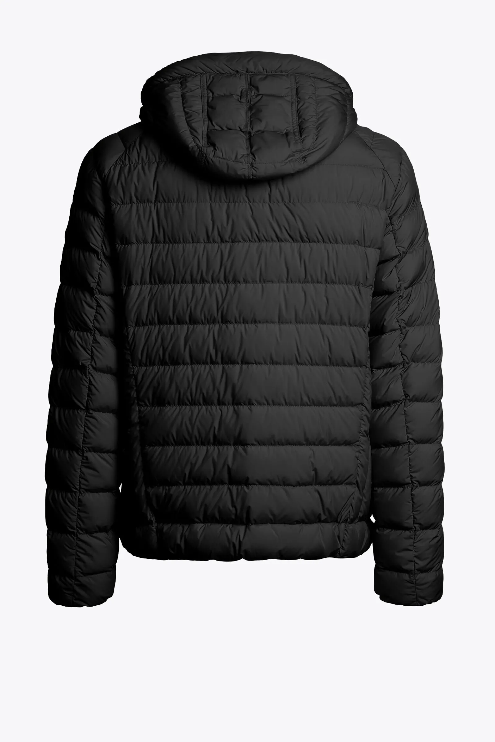 Parajumpers Donsjassen-LAST MINUTE - DONSJACK MET CAPUCHON BLACK