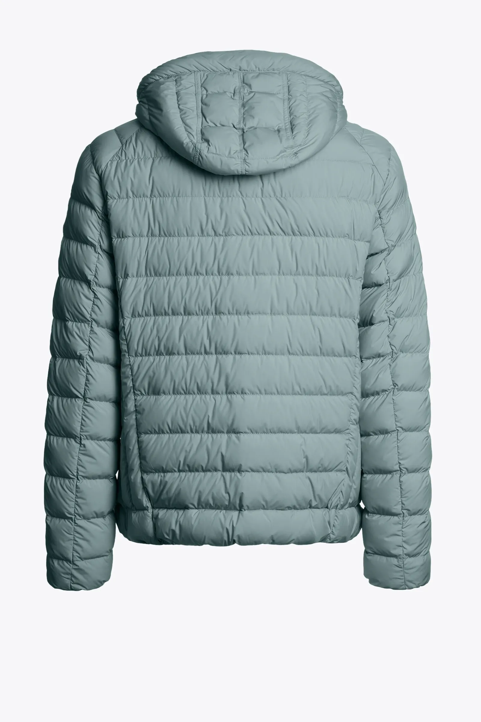 Parajumpers Donsjassen-LAST MINUTE - DONSJACK MET CAPUCHON PURITAN GREY