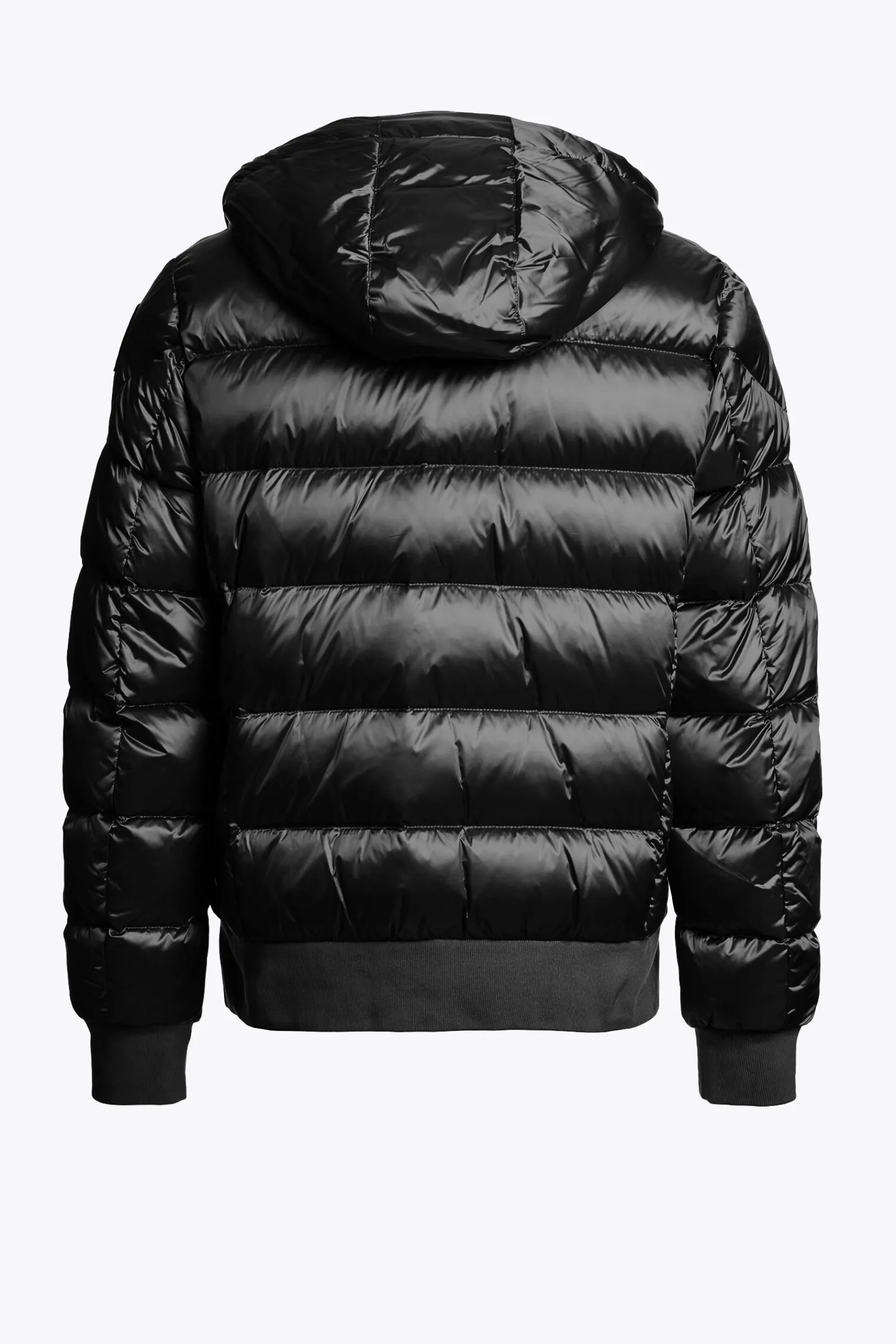 Parajumpers Donsjassen|Bomberjacken-PHARRELL - BOMBERJACK MET CAPUCHON BLACK