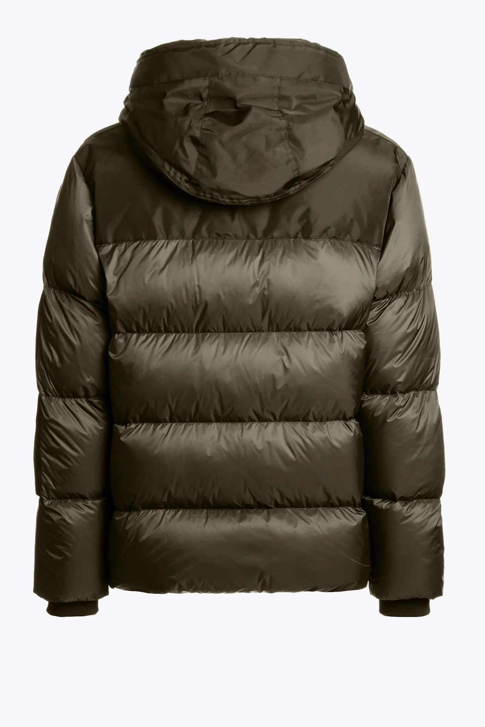 Parajumpers Donsjassen|Jasjes-TYRIK - JACK MET CAPUCHON OLIVE GREY