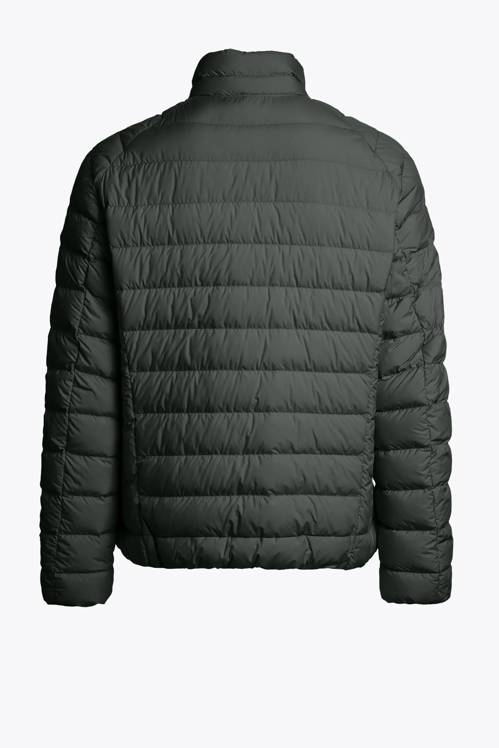 Parajumpers Donsjassen-UGO - KORT DONSJACK GREEN GABLES